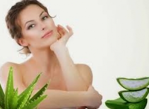 Tổng hợp các cách chữa nám da mặt bằng cây lô hội.